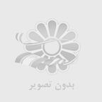 قیمت گردو تازه ارزان تر است یا گردو کهنه؟